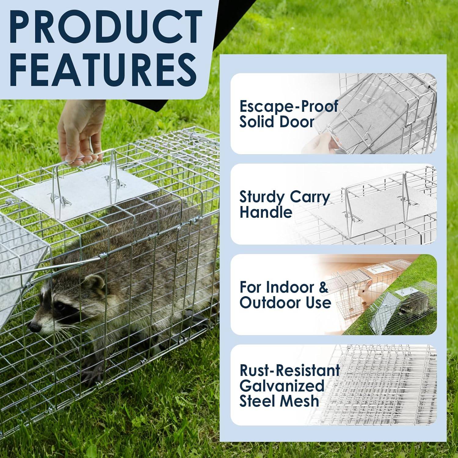 Squirrel Trap: image 4
