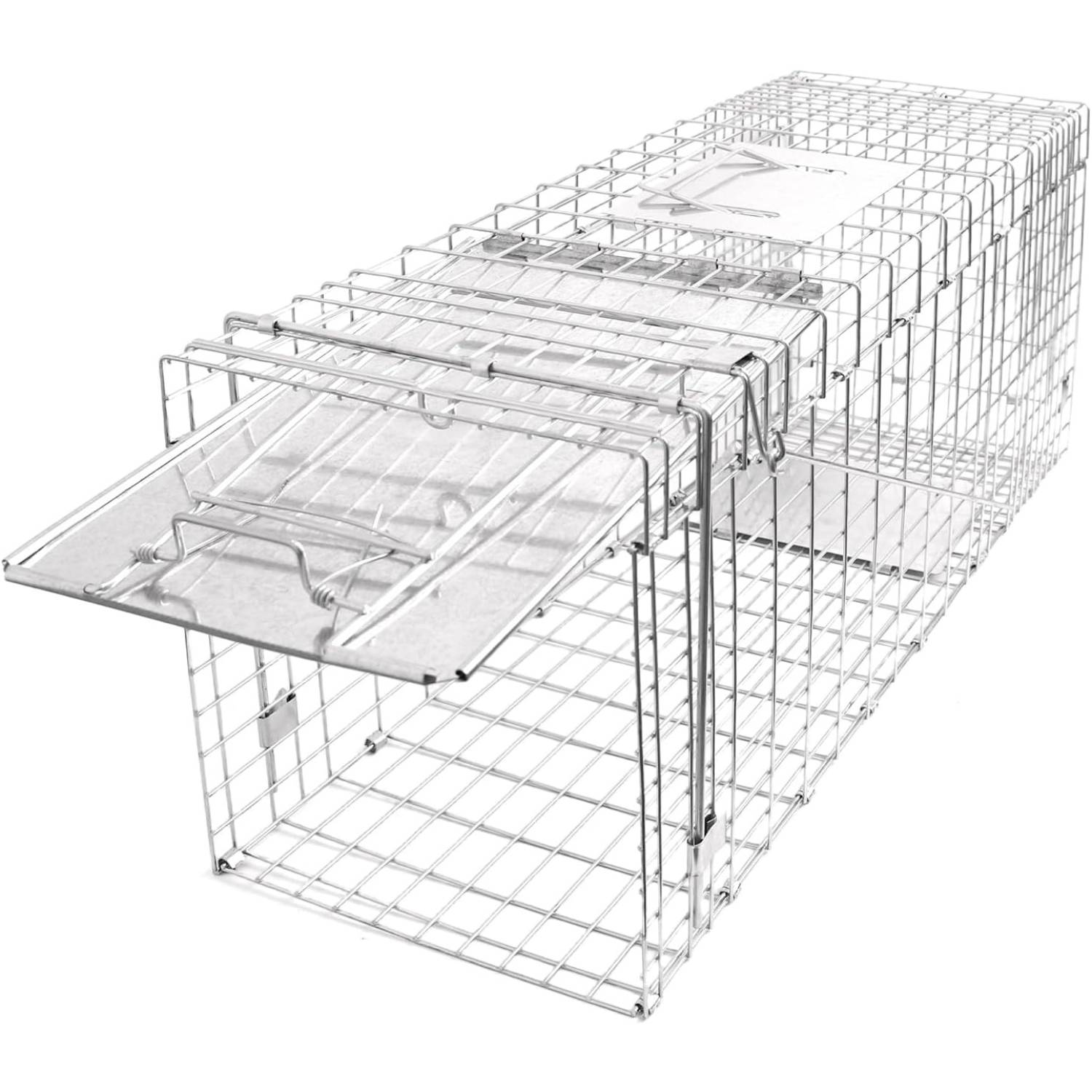 Squirrel Trap: image 8
