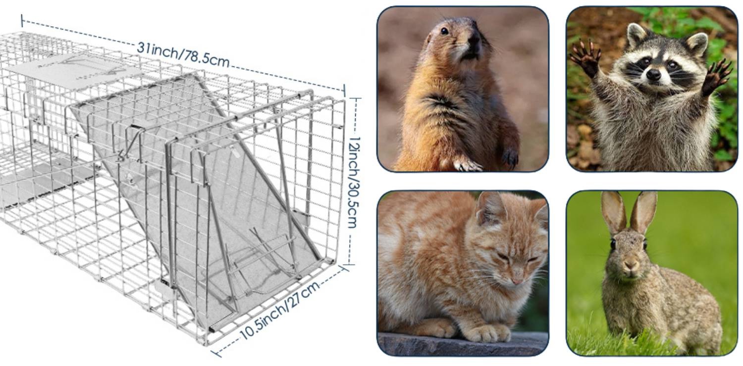 Squirrel Trap: image 9