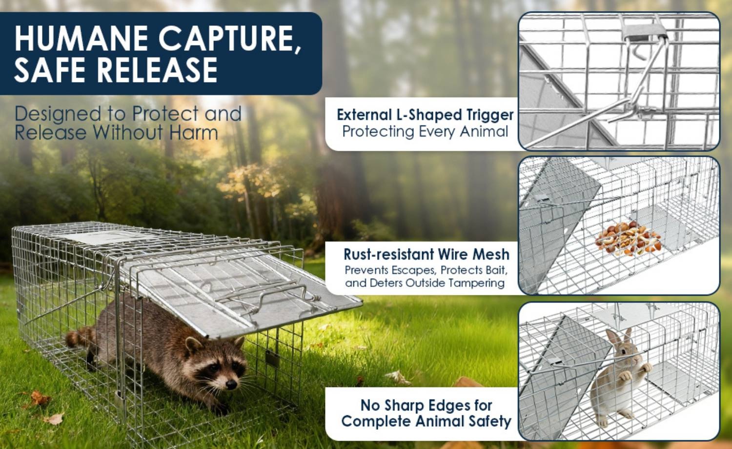 Squirrel Trap: image 11