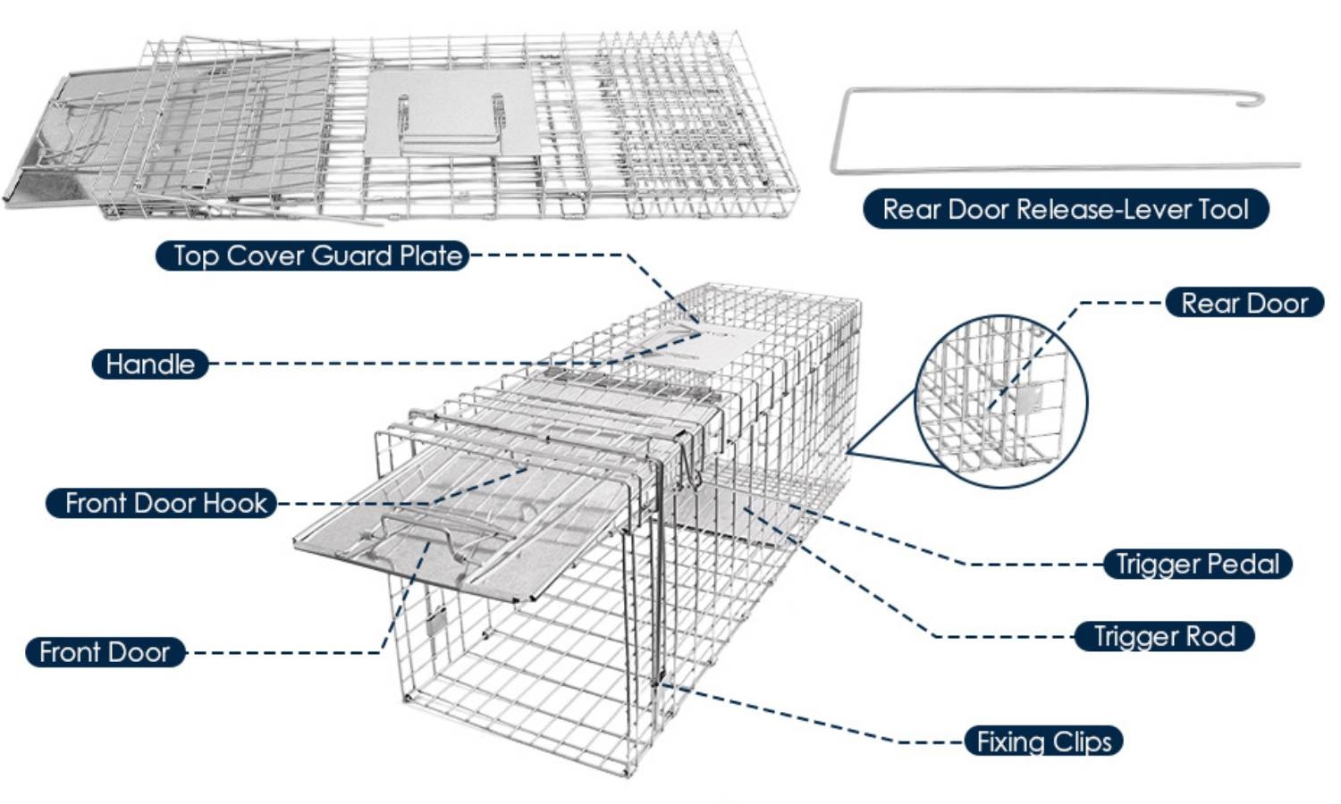 Squirrel Trap: image 12