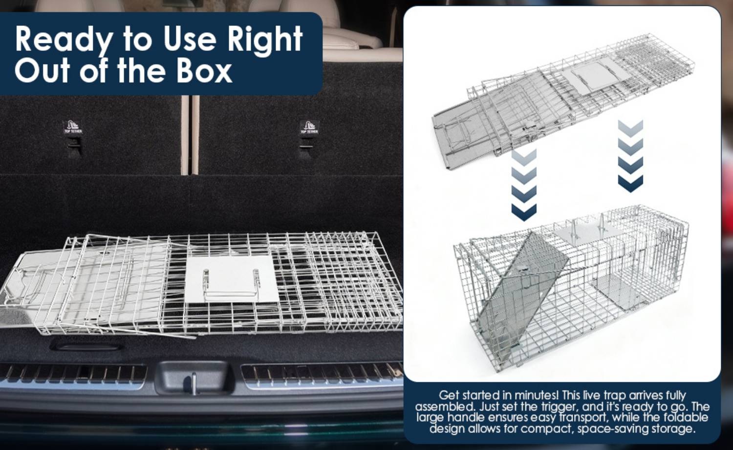 Squirrel Trap: image 13