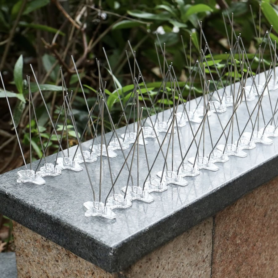 Fence Spikes For Squirrels: image 2