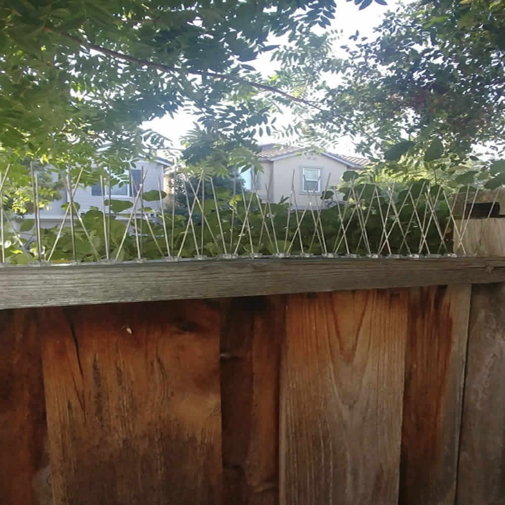 Fence Spikes For Squirrels: image 3