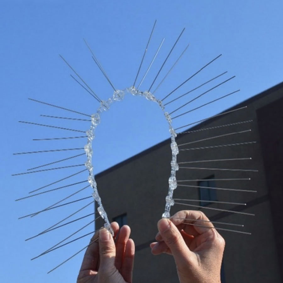 Fence Spikes For Squirrels: image 4