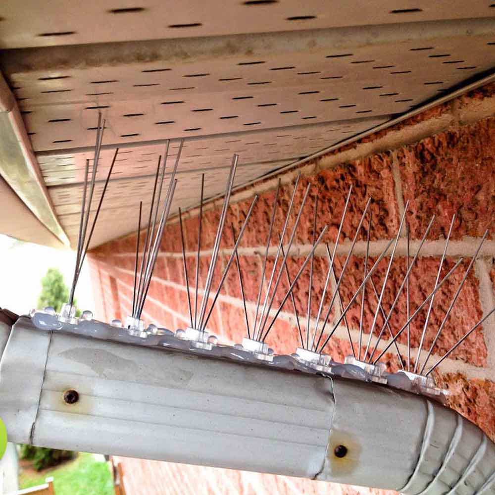 Gutter Spikes: image 2