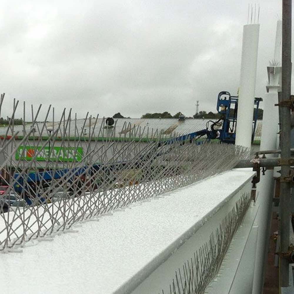 Gutter Spikes: image 6