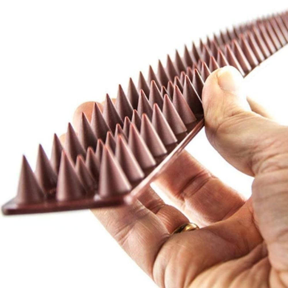 Squirrel Spikes: image 3