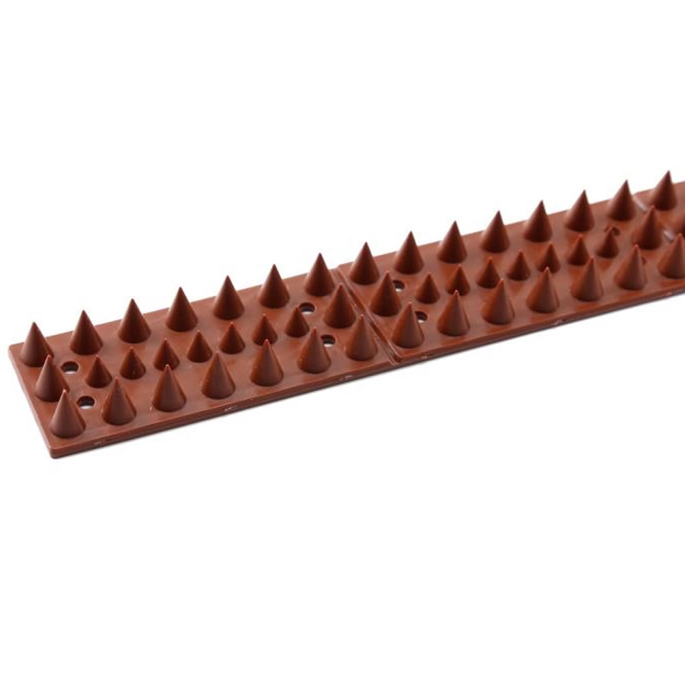 Squirrel Spikes: image 4