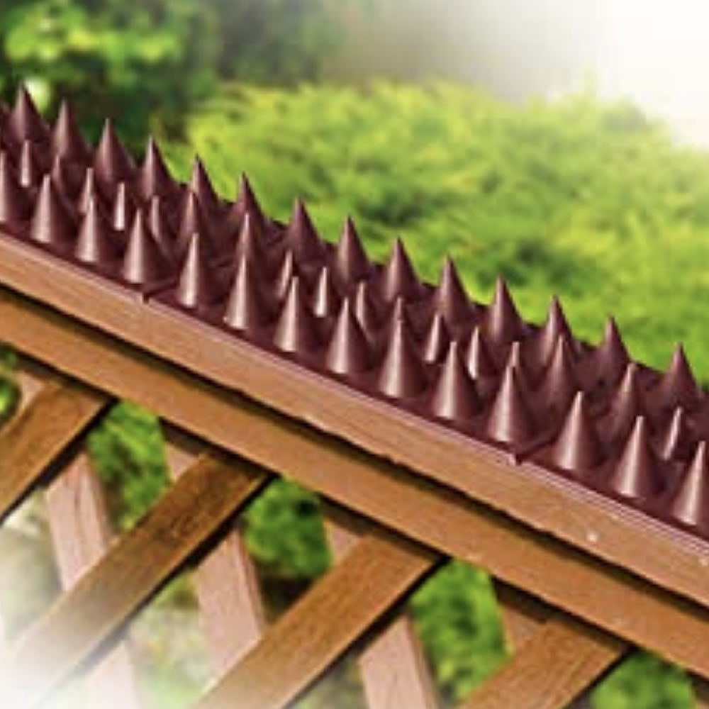 Squirrel Spikes: image 5