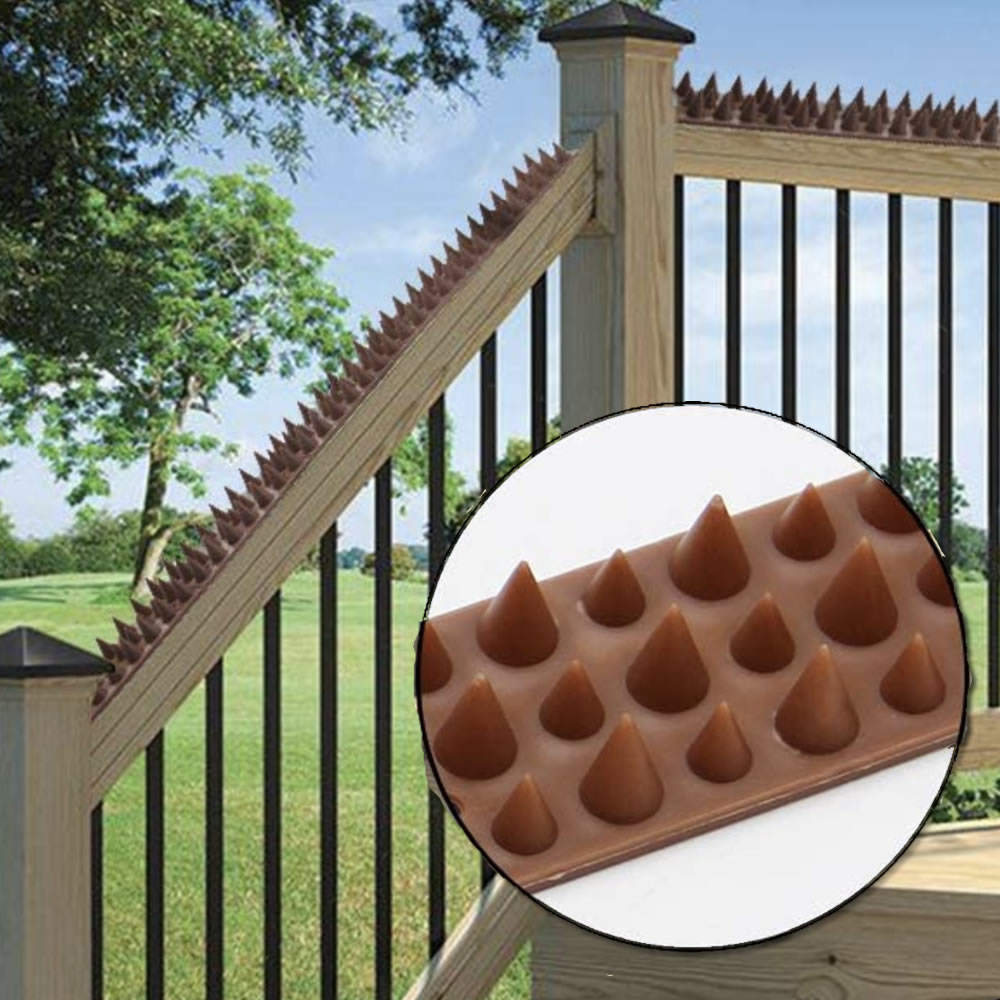 Squirrel Spikes: image 6