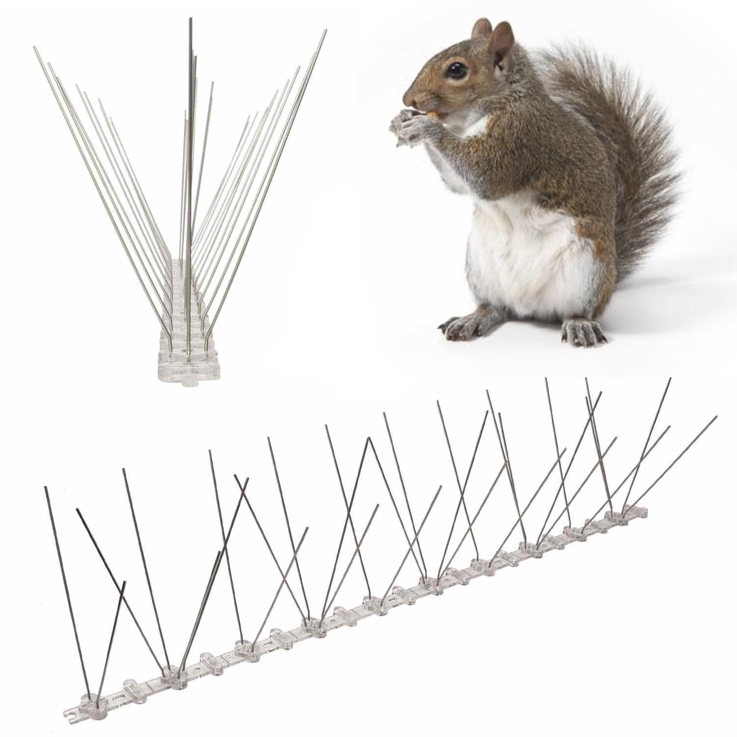 Anti Squirrel Spikes