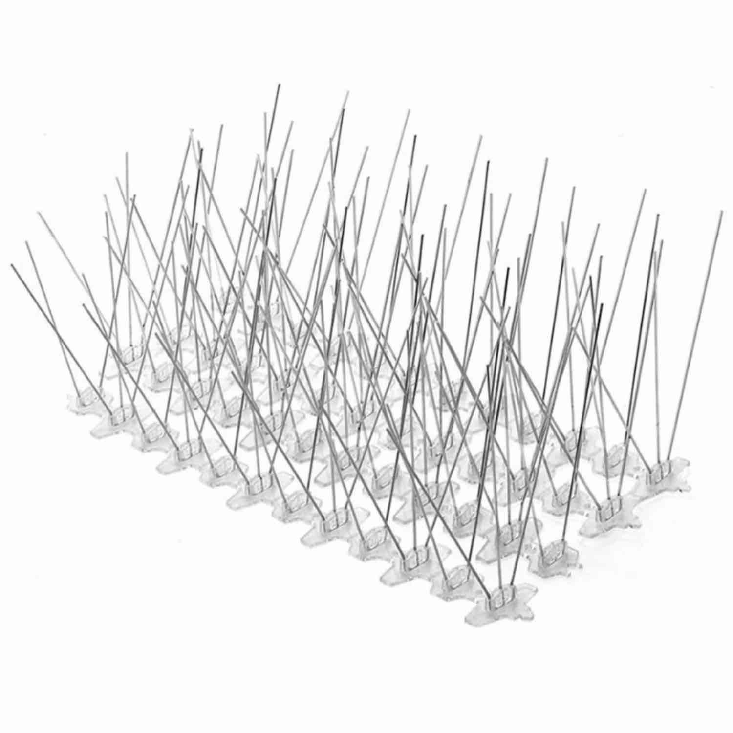 Anti Squirrel Spikes: image 4