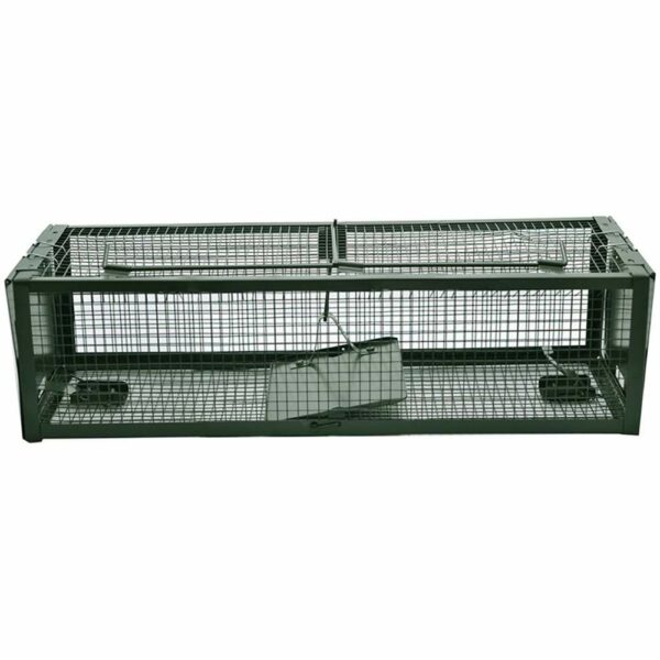 buy cage trap for squirrels