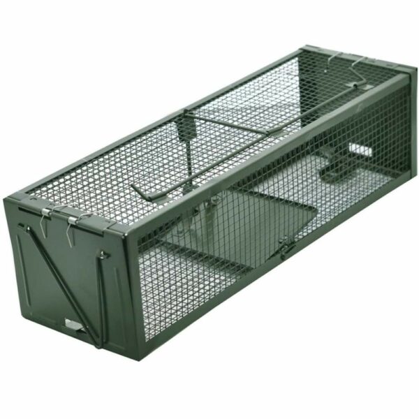 buy squirrel cage trap
