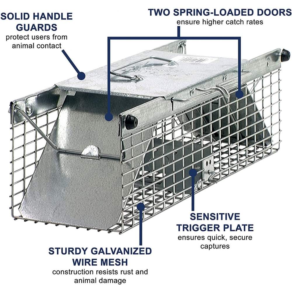 Squirrel Trap - Buy Online & Save | Free Shipping